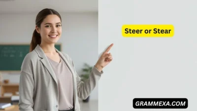 Steer or Stear
